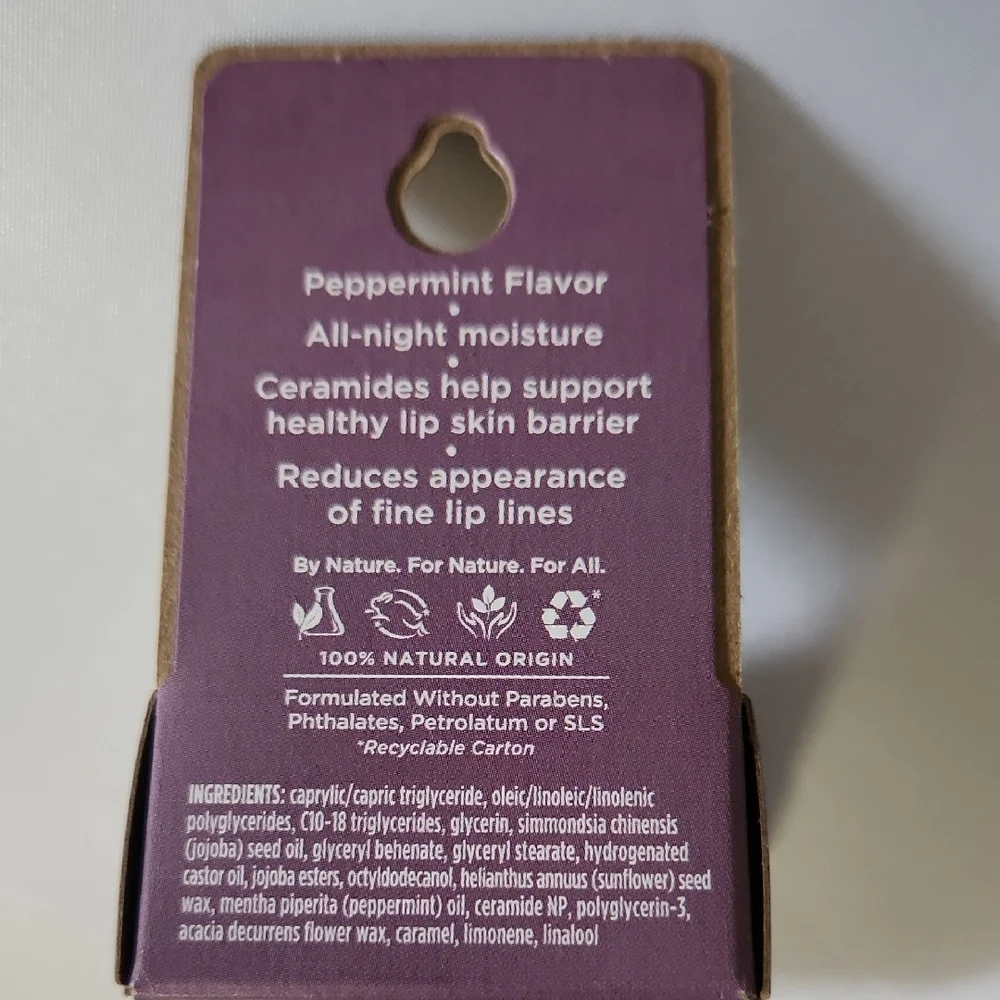 Burt's Bees Overnight Lip Treatment Lip Mask